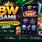 8W Game